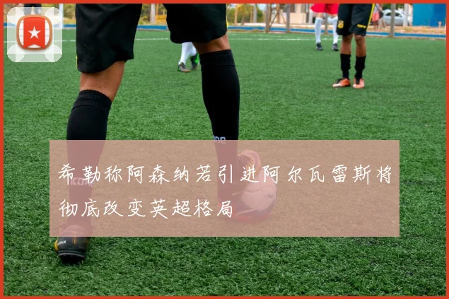 希勒称阿森纳若引进阿尔瓦雷斯将彻底改变英超格局
