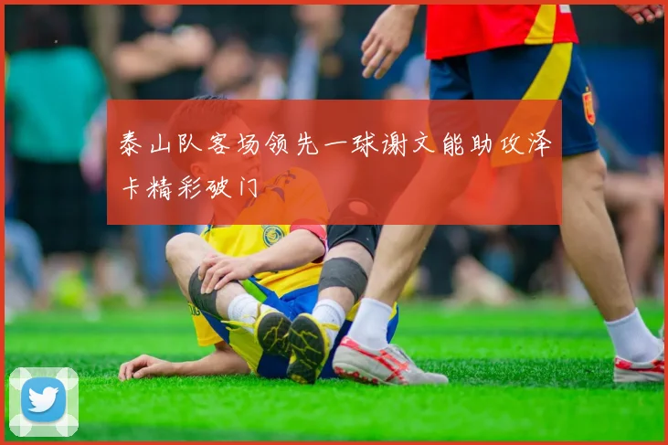 泰山队客场领先一球谢文能助攻泽卡精彩破门