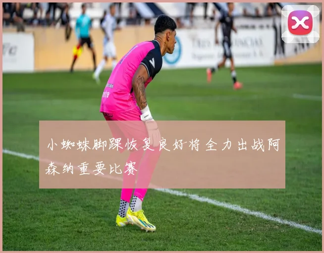 小蜘蛛脚踝恢复良好将全力出战阿森纳重要比赛